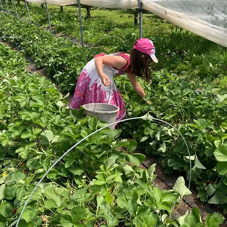 L'epicerie Dom wakacyjny Melay (Haute-Marne)