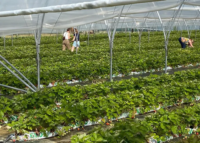 Holiday home L'epicerie Melay (Haute-Marne)